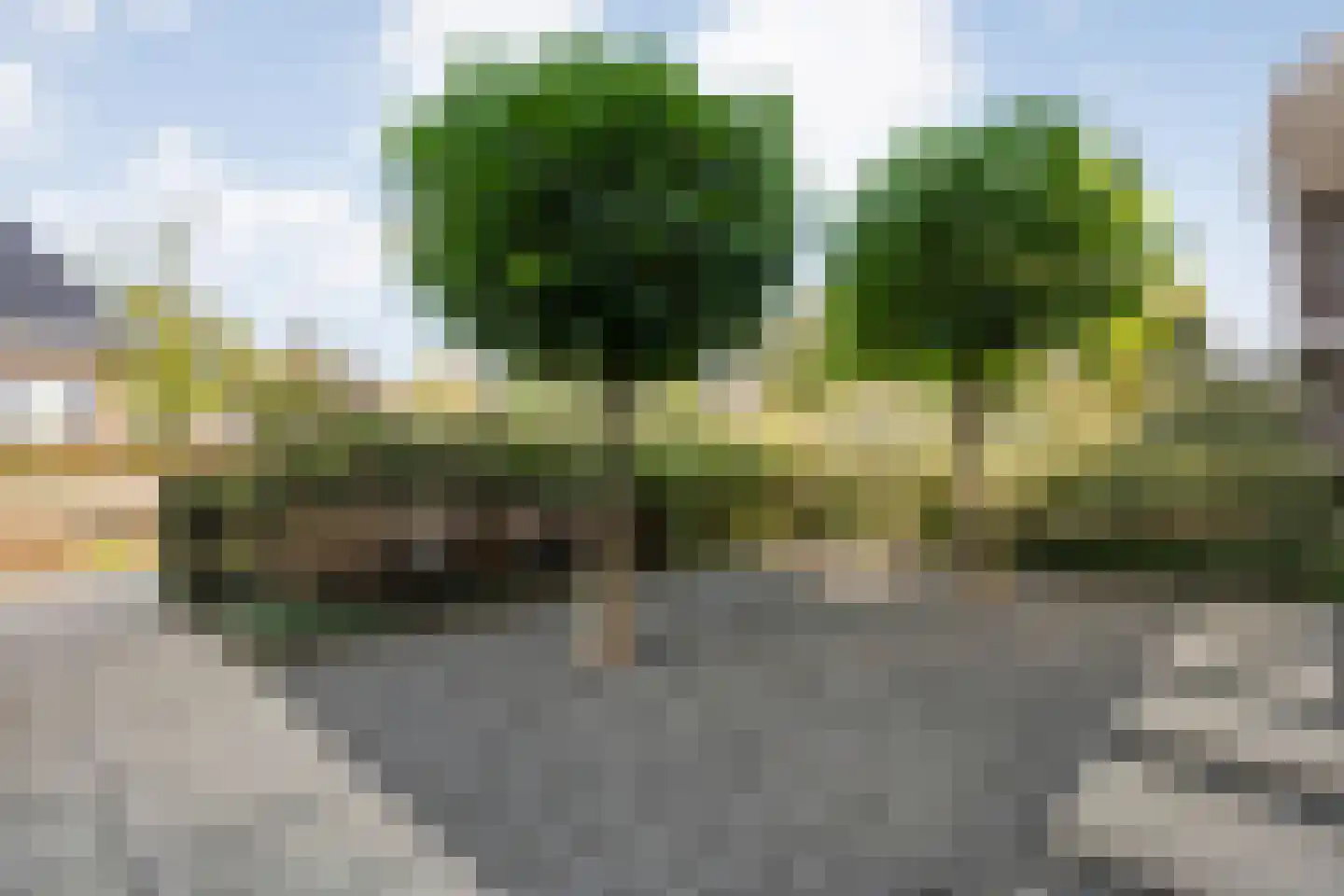Esakkers 29 Dalfsen thumbnail 7