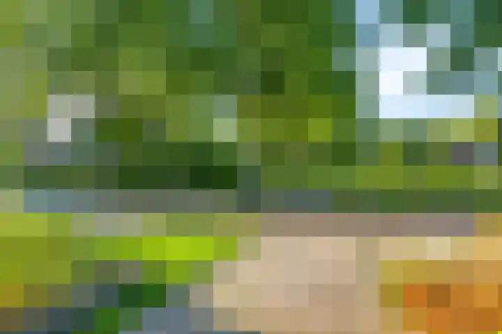 Esakkers 5 Annen thumbnail 12