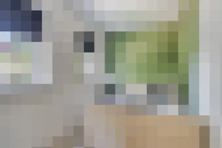 Esakkers 5 Annen thumbnail 33