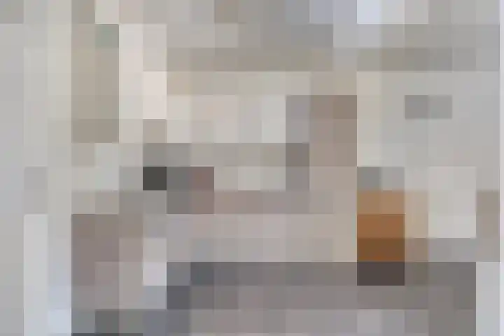 Esakkers 5 Annen thumbnail 6
