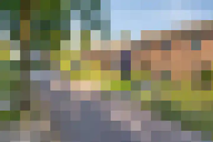 Esakkers 5 Annen thumbnail 9