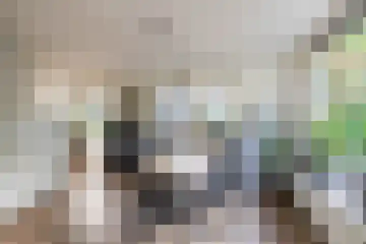 Esakkers 6 Annen thumbnail 13