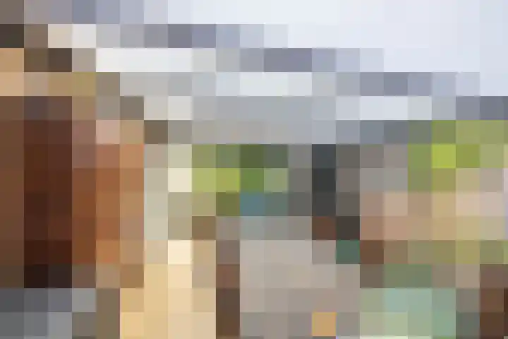 Esakkers 6 Annen thumbnail 19