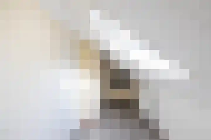 Esakkers 6 Annen thumbnail 31