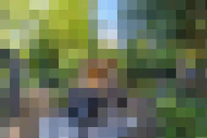 Esakkers 6 Annen thumbnail 36