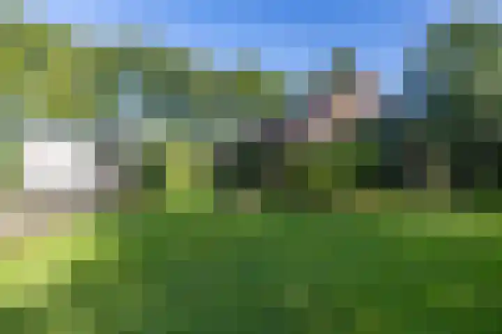 Esakkers 6 Annen thumbnail 44