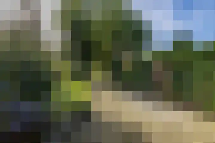 Esakkers 6 Annen thumbnail 47