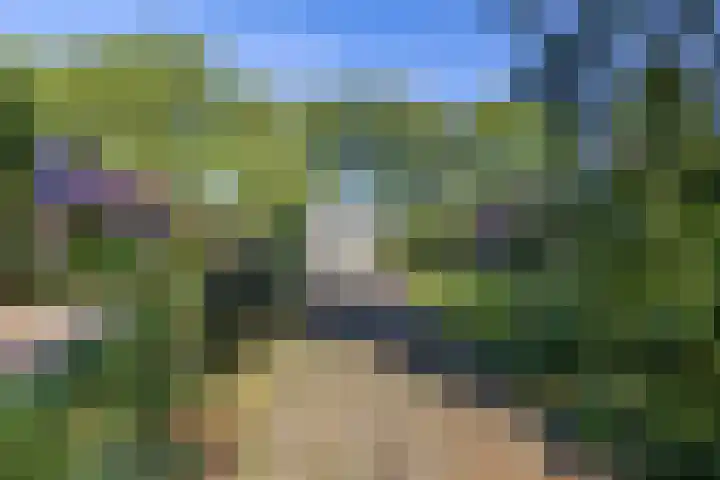 Esakkers 6 Annen thumbnail 48