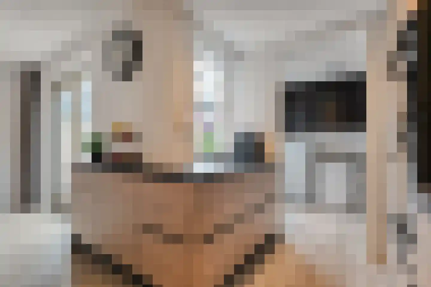 Esakkers 9 Dalfsen thumbnail 10