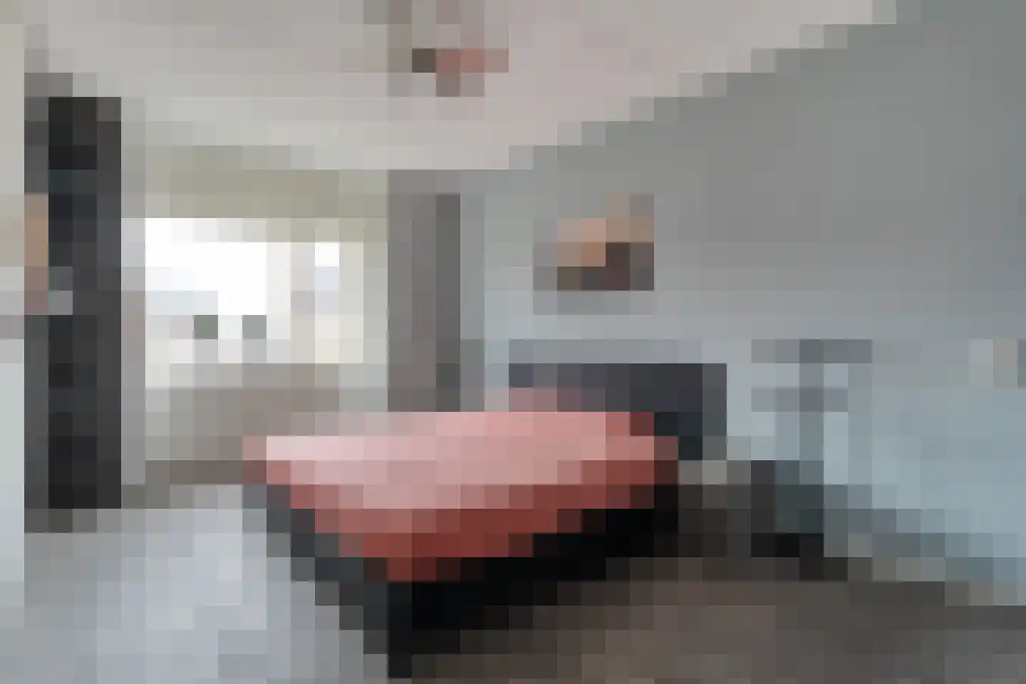 Esakkers 9 Dalfsen thumbnail 19