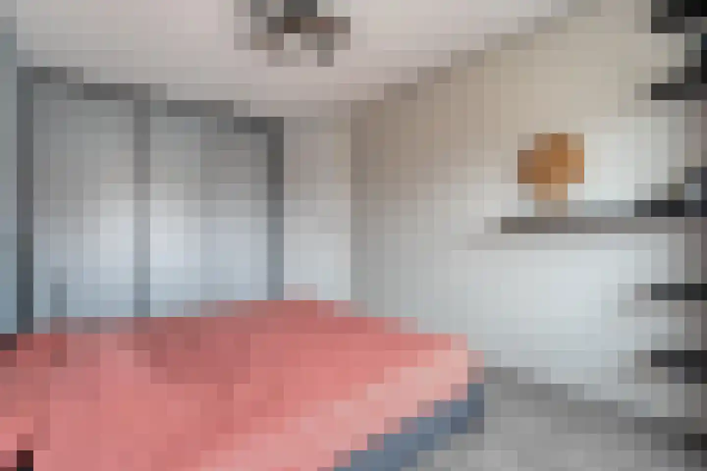 Esakkers 9 Dalfsen thumbnail 20