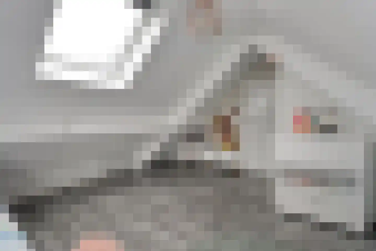 Esakkers 9 Dalfsen thumbnail 28