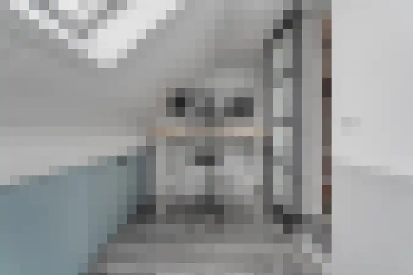 Esakkers 9 Dalfsen thumbnail 30