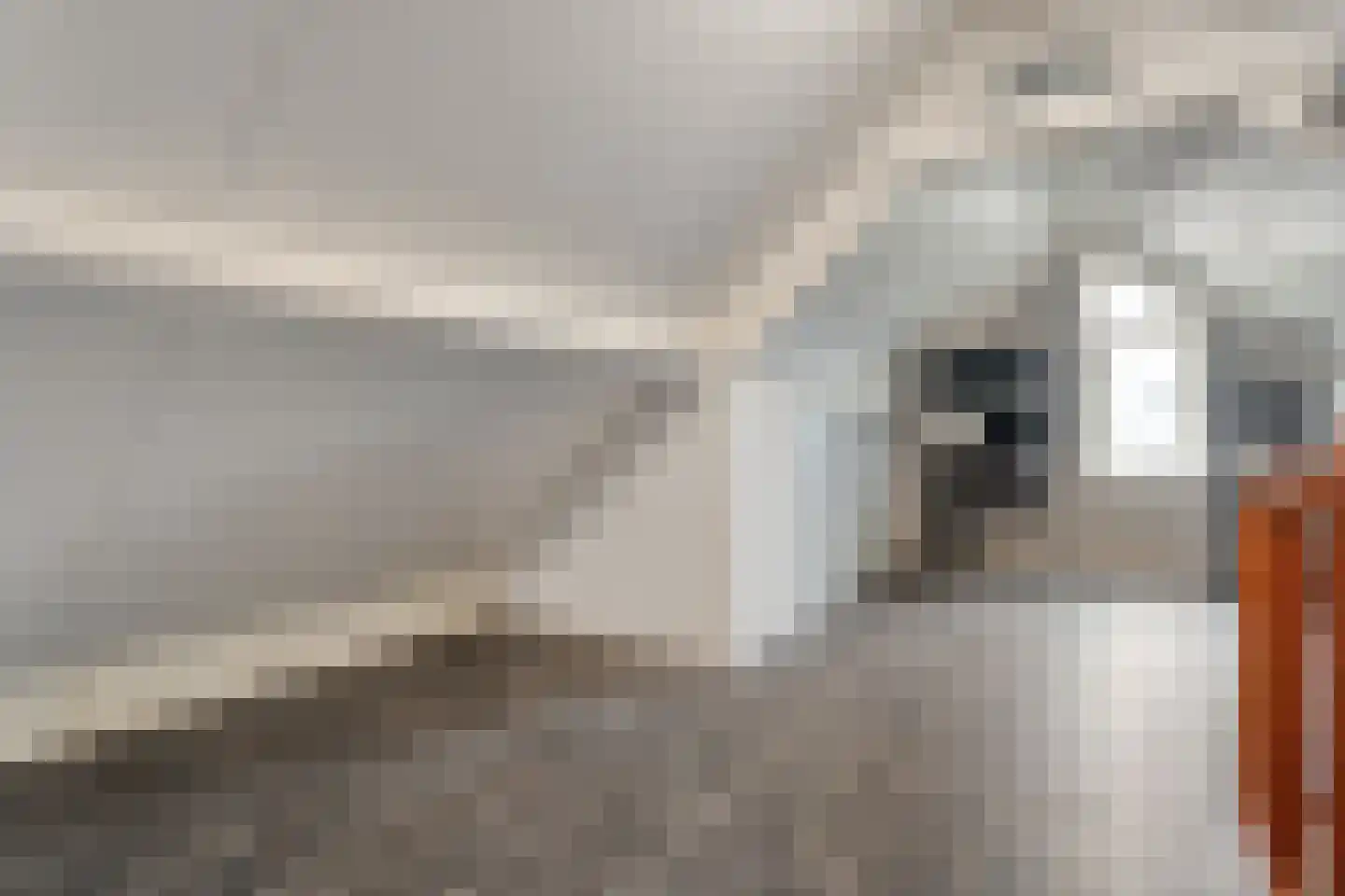 Esakkers 9 Dalfsen thumbnail 32