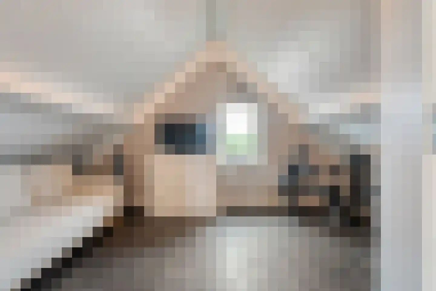 Esakkers 9 Dalfsen thumbnail 33
