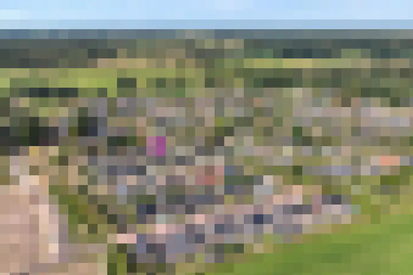 Esakkers 9 Dalfsen thumbnail 47