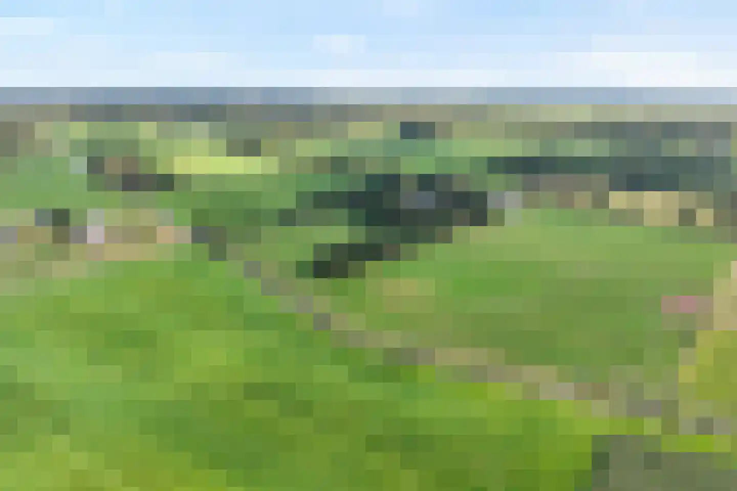 Esakkers 9 Dalfsen thumbnail 52