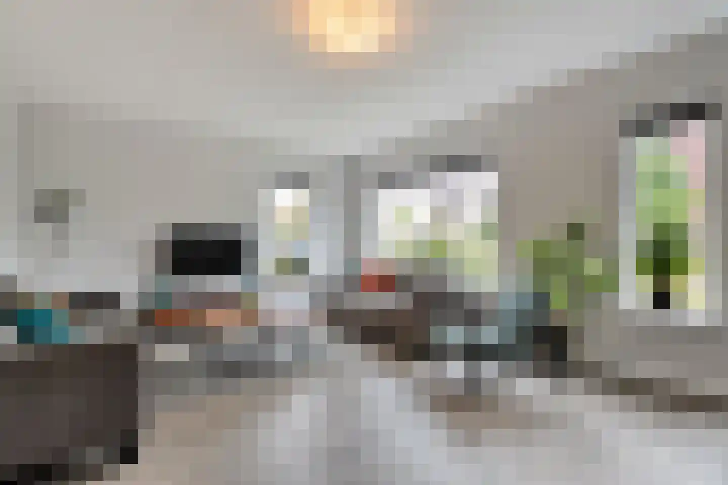 Esakkers 9 Dalfsen thumbnail 7
