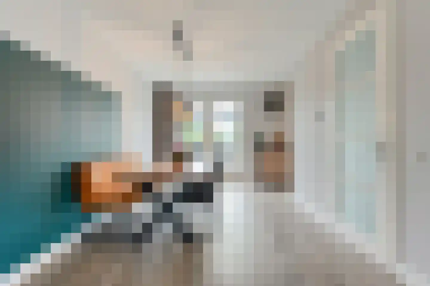 Esakkers 9 Dalfsen thumbnail 8