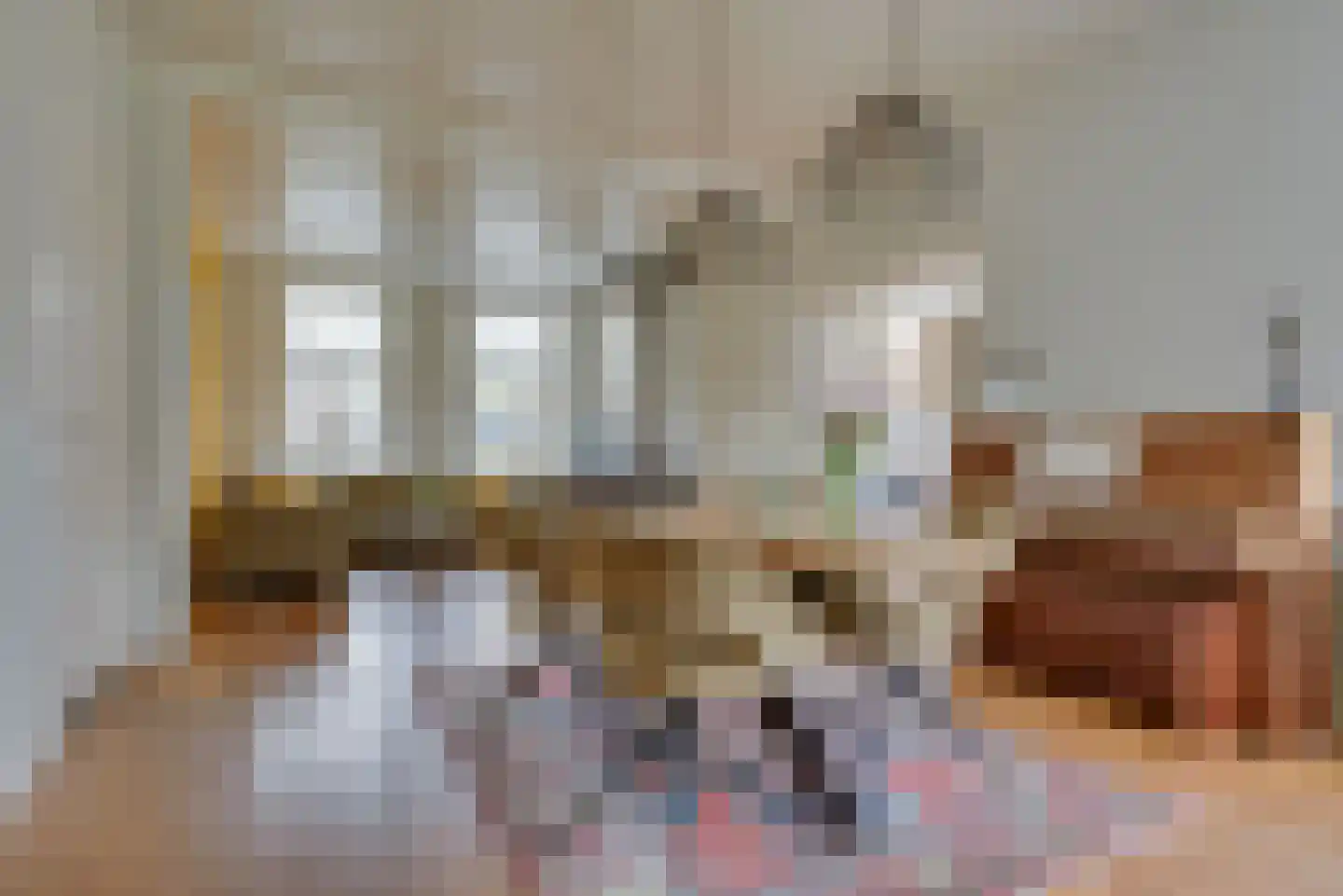 Esbeekseweg 18 Esbeek thumbnail 13