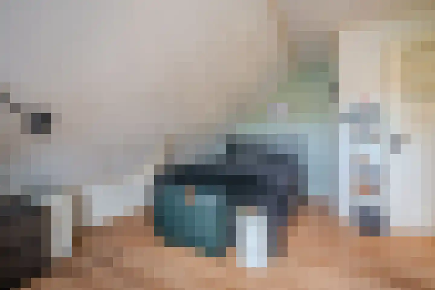 Esbörgstraat 4 Scheemda thumbnail 38