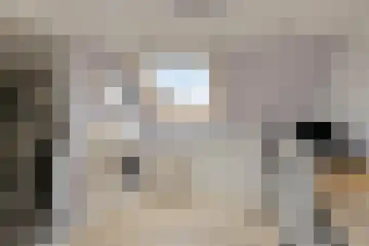 Esbörgstraat 41 Scheemda thumbnail 13