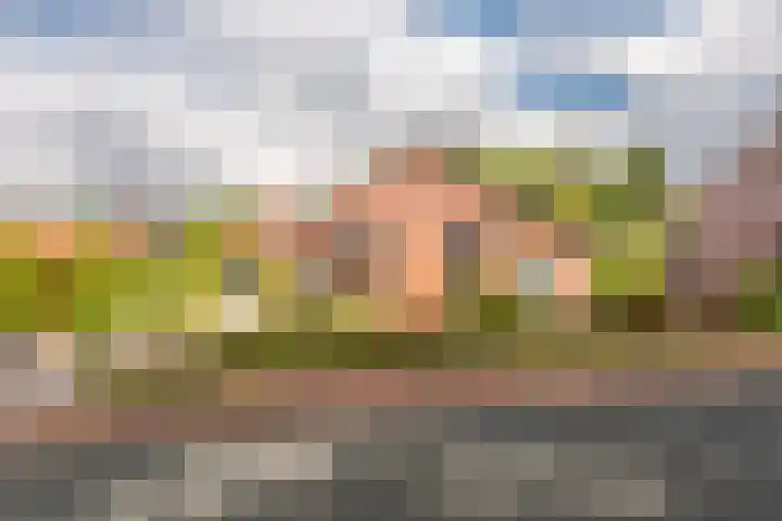 Esbörgstraat 84 Scheemda foto 2