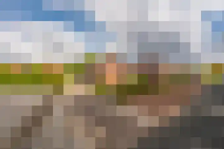 Esbörgstraat 84 Scheemda thumbnail 21