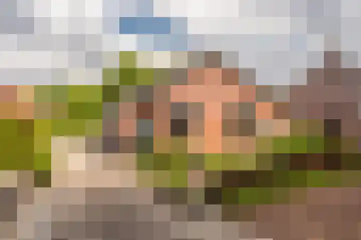 Esbörgstraat 84 Scheemda thumbnail 28