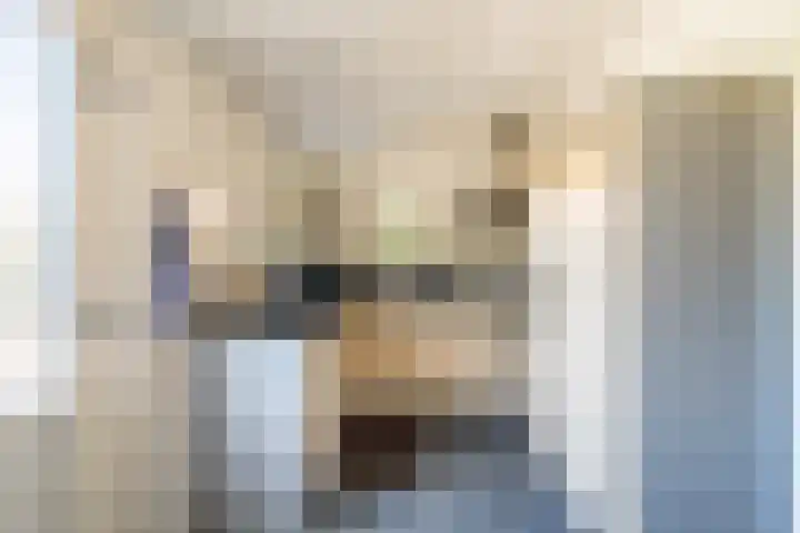 Esbörgstraat 84 Scheemda thumbnail 5