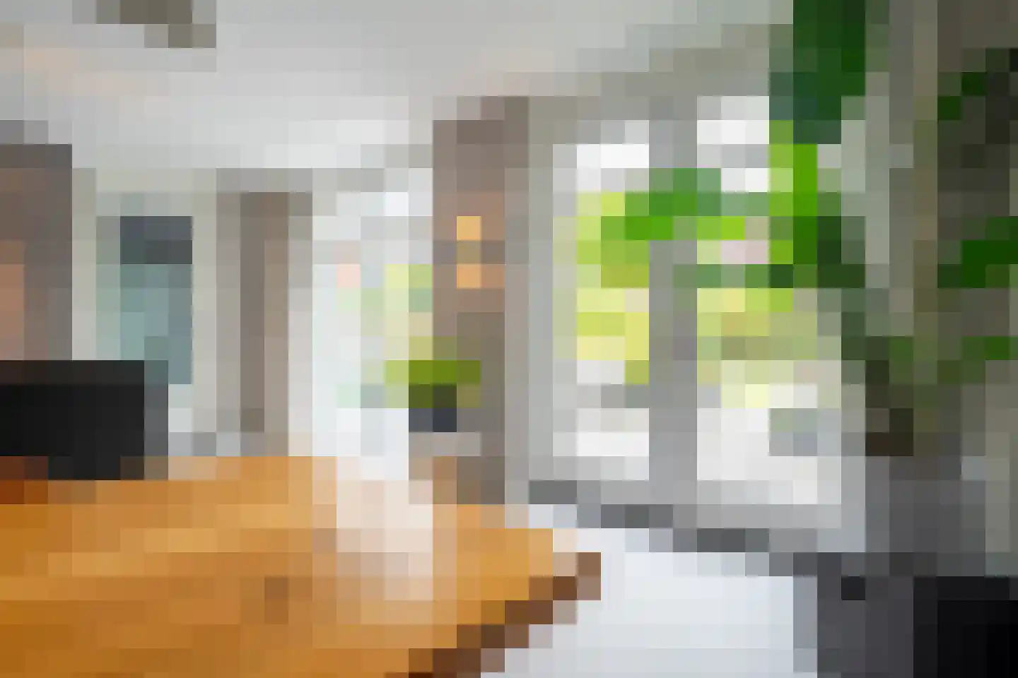 Escampe 5 Haren Gn thumbnail 24