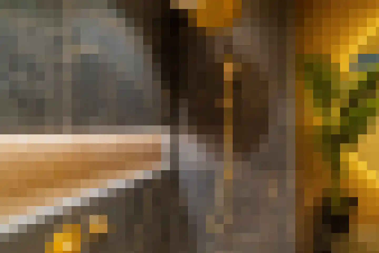 Escampe 5 Haren Gn thumbnail 49