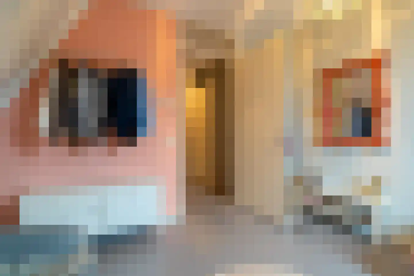 Escampe 5 Haren Gn thumbnail 54