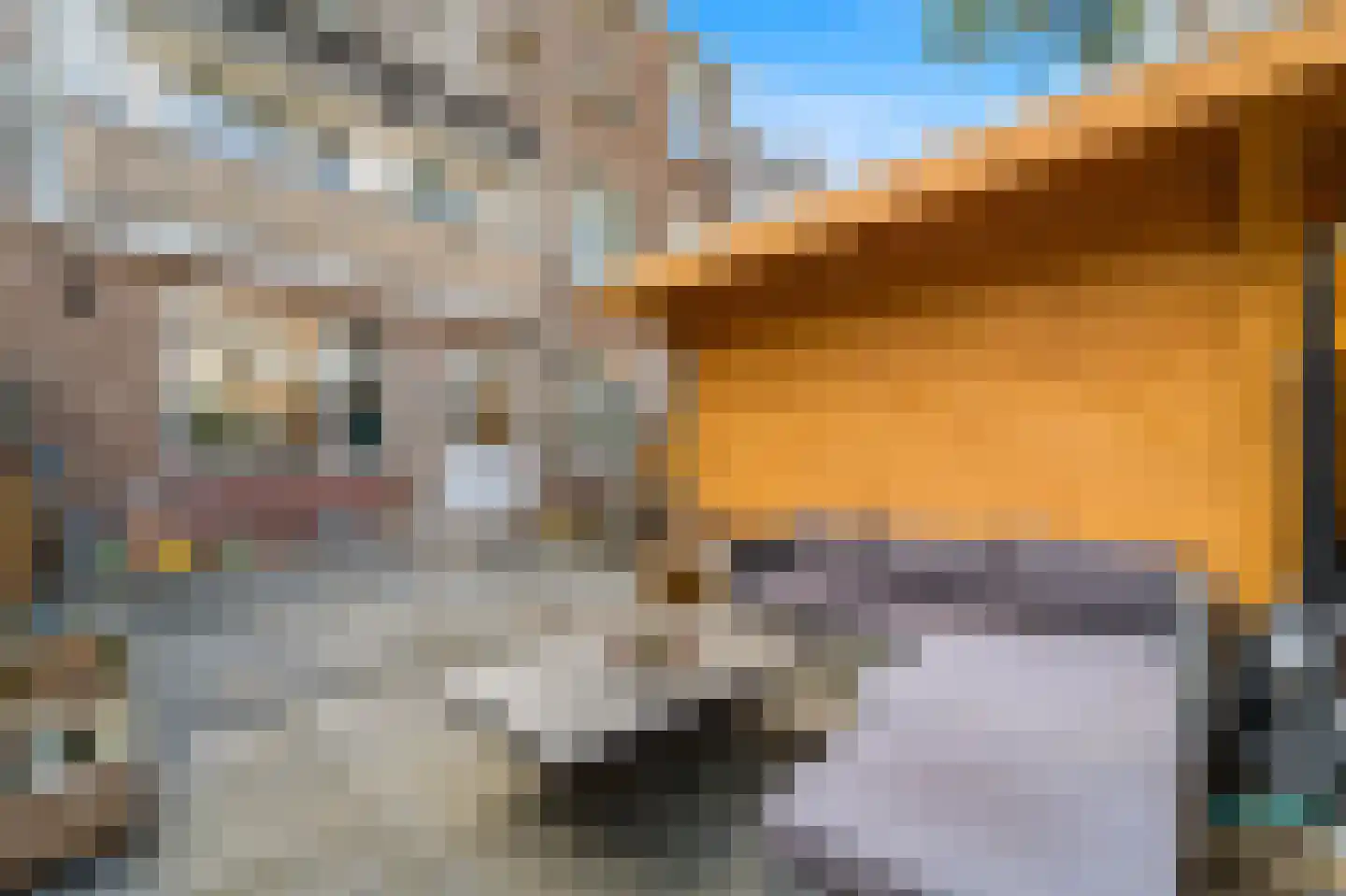 Escamplaan 13 Den Haag thumbnail 16