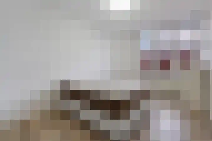 Escamplaan 148 Den Haag thumbnail 11