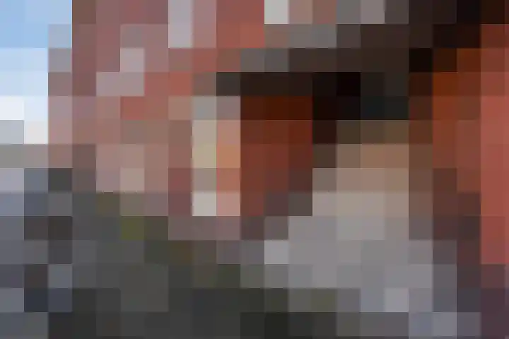 Escamplaan 148 Den Haag thumbnail 38