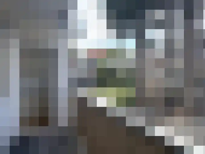 Escamplaan 15 Den Haag thumbnail 17
