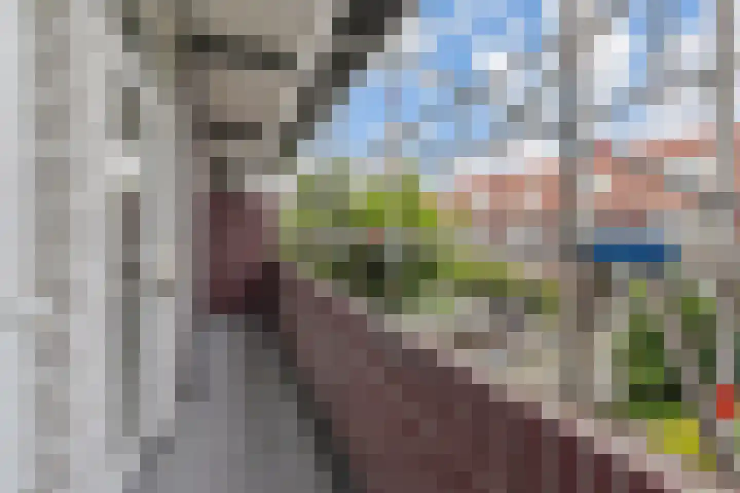 Escamplaan 176 Den Haag thumbnail 23