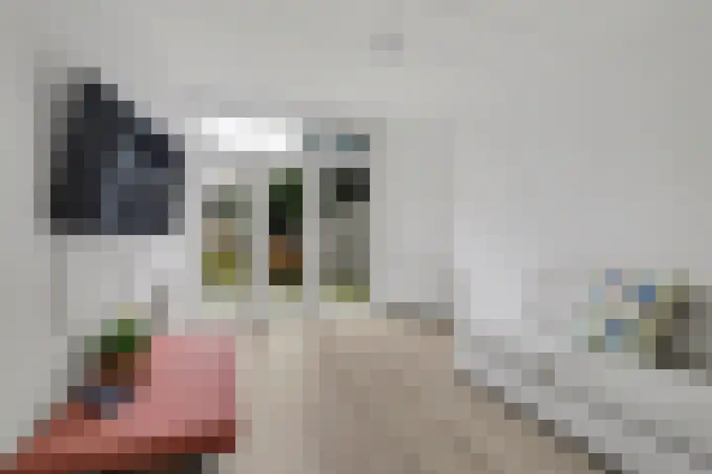 Escamplaan 238 Den Haag thumbnail 10