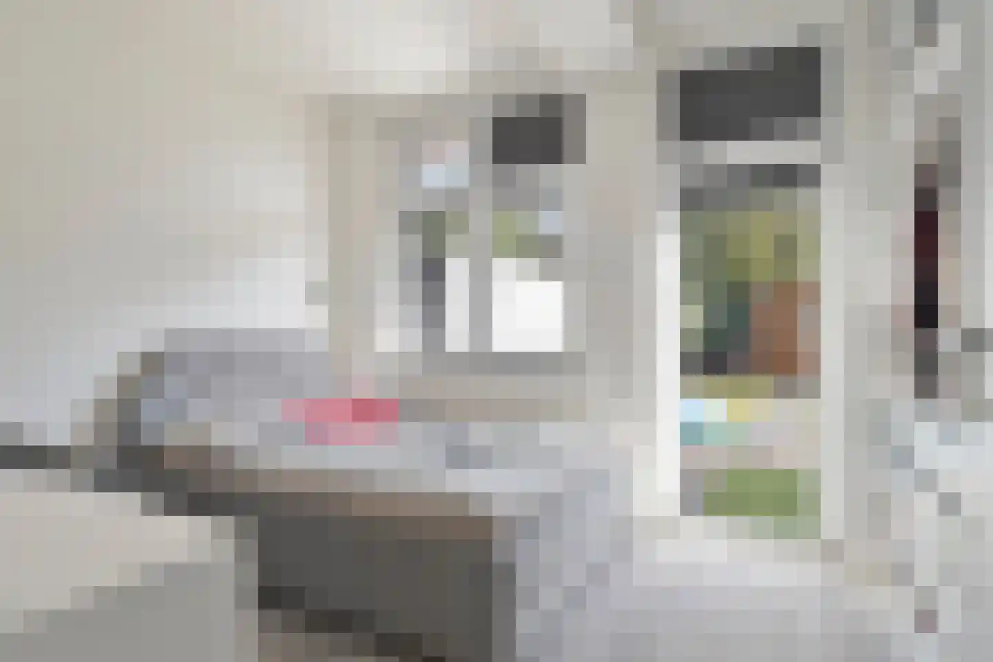 Escamplaan 250 Den Haag thumbnail 13