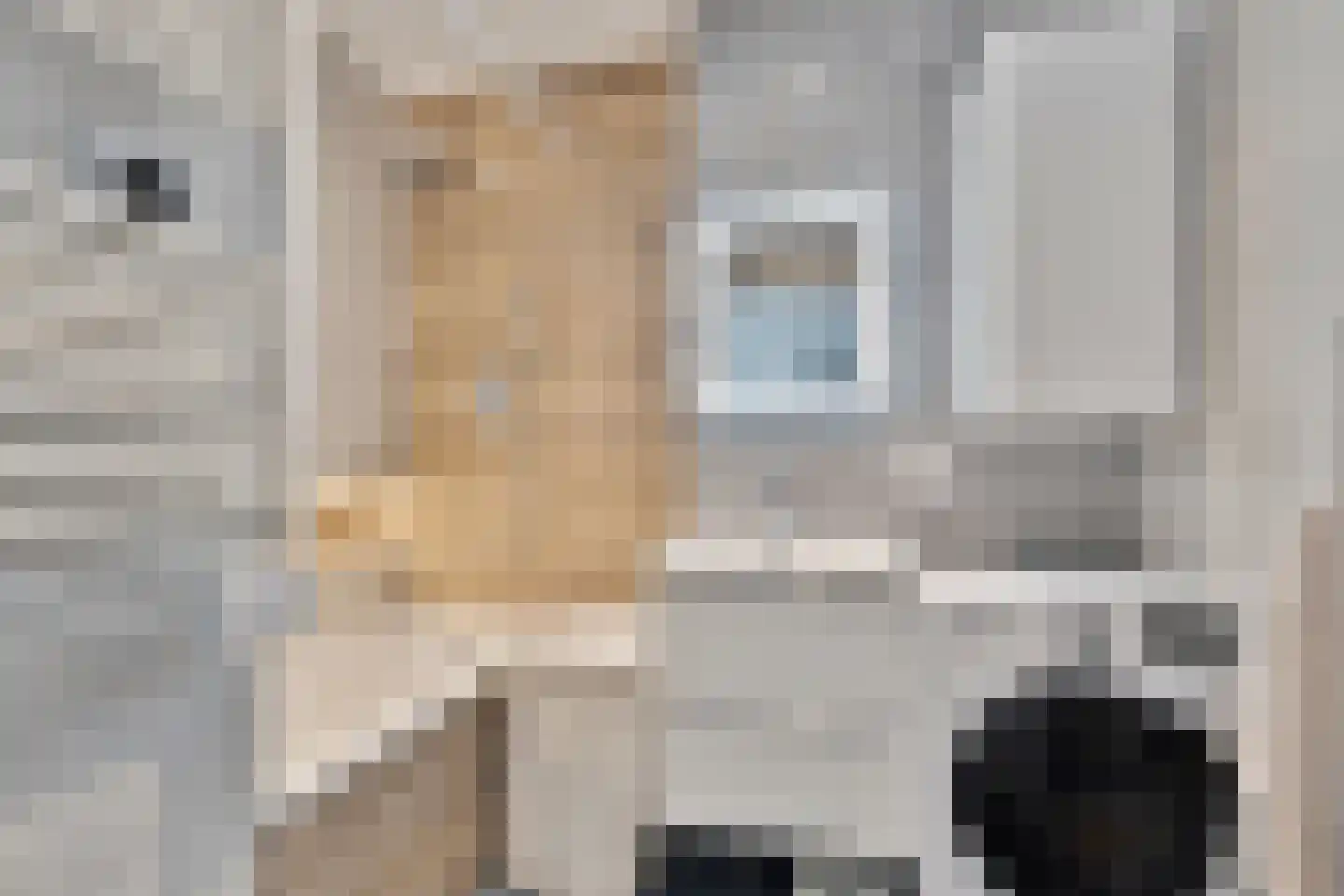 Escamplaan 250 Den Haag thumbnail 15