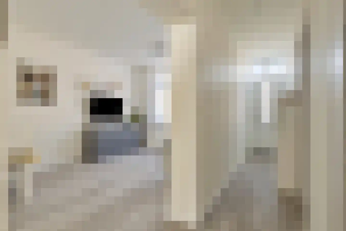 Escamplaan 250 Den Haag thumbnail 6