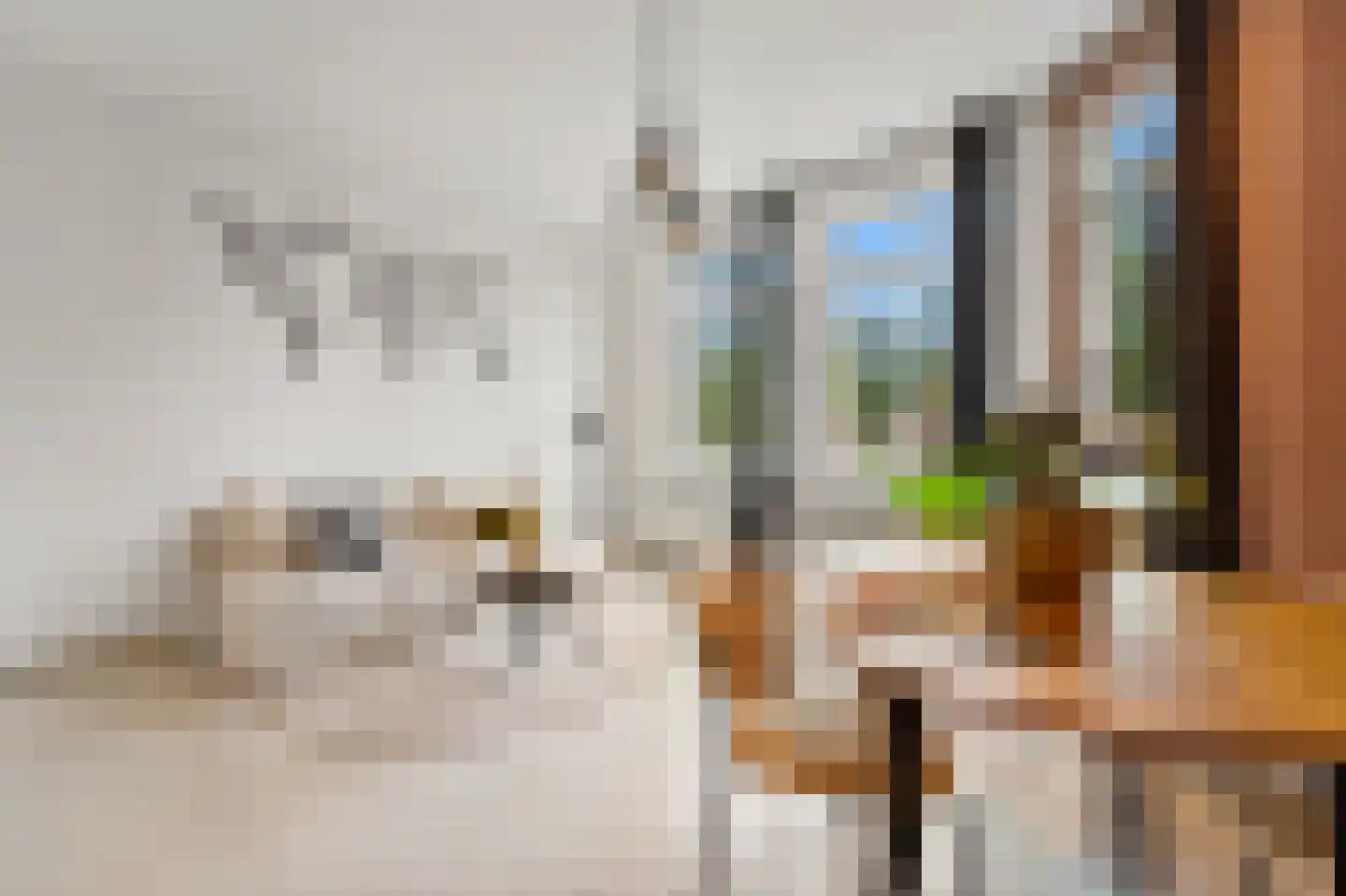 Escamplaan 39 Den Haag thumbnail 14