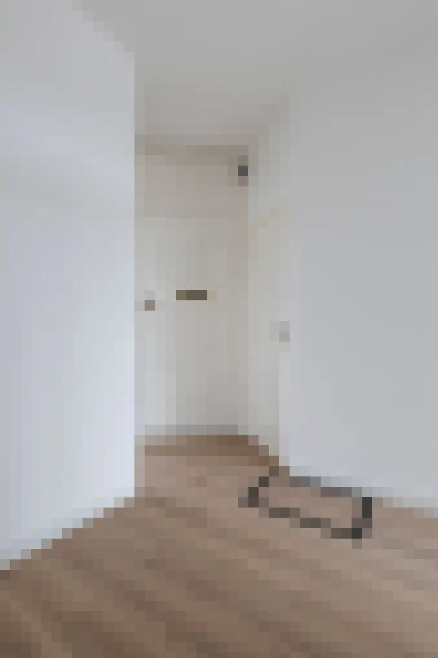 Escamplaan 72 Den Haag thumbnail 8