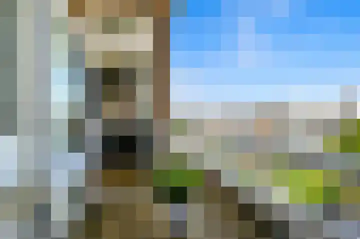 Escamplaan 73 Den Haag thumbnail 23