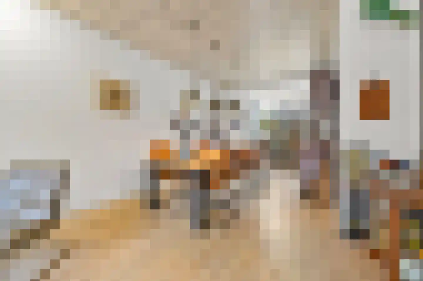 Escamplaan 74 Den Haag thumbnail 13