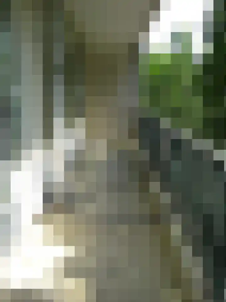 Escamplaan 771 Den Haag thumbnail 6