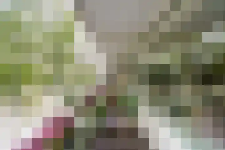 Escamplaan 789 in Den Haag