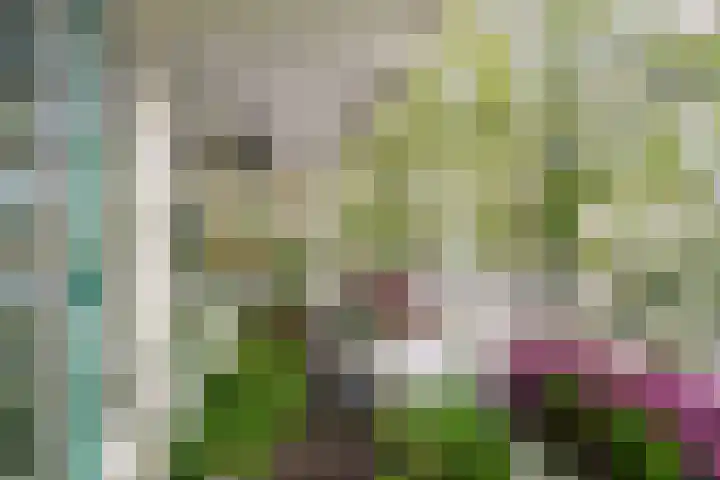 Escamplaan 789 Den Haag thumbnail 12