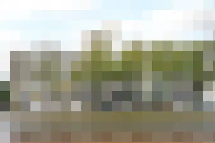 Escamplaan 789 Den Haag thumbnail 17